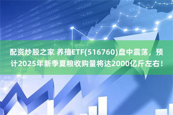 配资炒股之家 养殖ETF(516760)盘中震荡，预计2025年新季夏粮收购量将达2000亿斤左右！