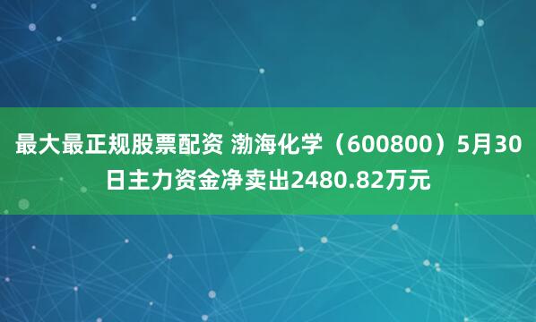 最大最正规股票配资 渤海化学（600800）5月30日主力资金净卖出2480.82万元