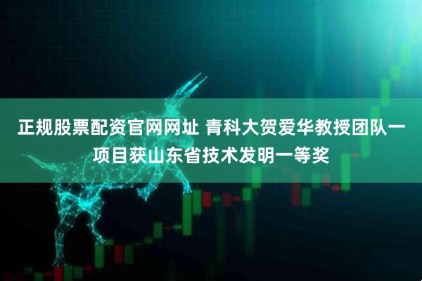 正规股票配资官网网址 青科大贺爱华教授团队一项目获山东省技术发明一等奖